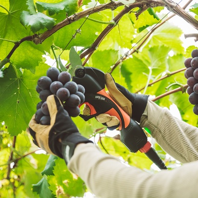 Tijera Poda Bateria Echo Dps 350